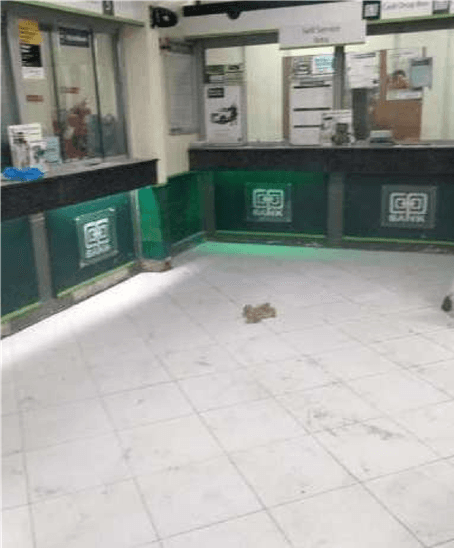 Co-operative Bank Lodwar Branch 1